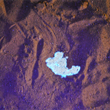 Crude Oil Glowing